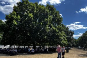 English Oak in Walpole Park in Summertime