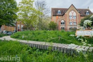 wooden path winding through wild meadow in Hanwell with building in the background