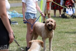 dog on lead with owner who has a medal round their neck at Hanwell Carnival