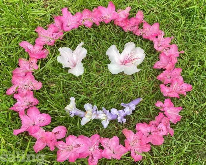 smiley face made of flowers on grass