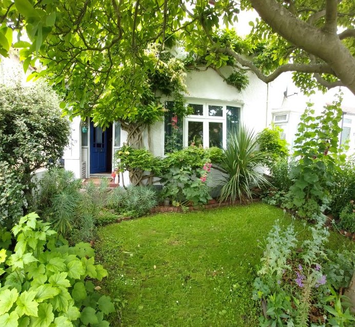 A large front garden with a green lawn hedges and a tree.