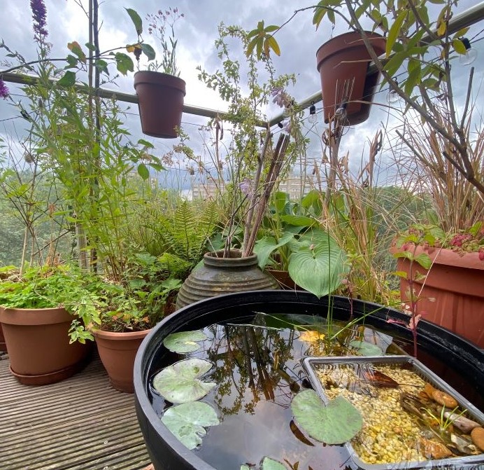 A micro balcony garden with small plant pots and a mini pond in a large garden pot.