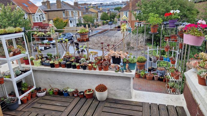 A small balcony garden with lots of plant pots