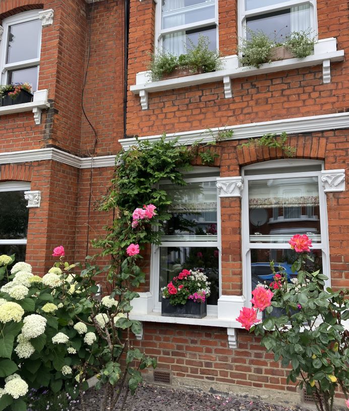 A large front garden with rose bushes  hedges and windowsill plants.