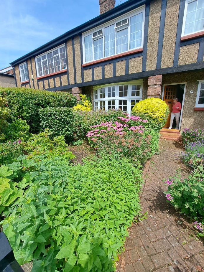 A large front garden with various hedges.