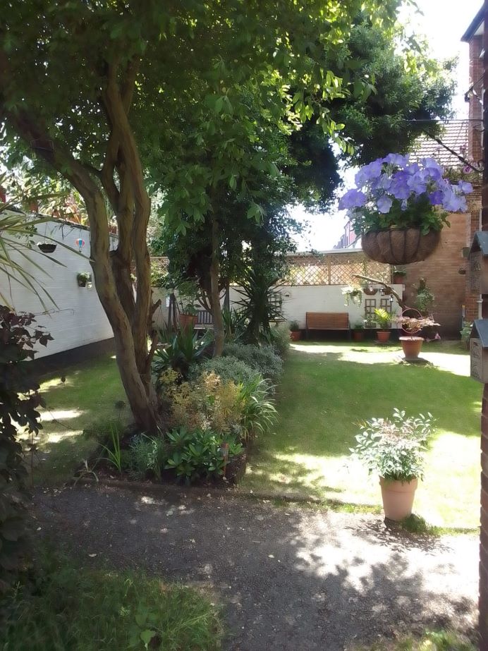 A large front garden with a tree, bushes and a lawn.