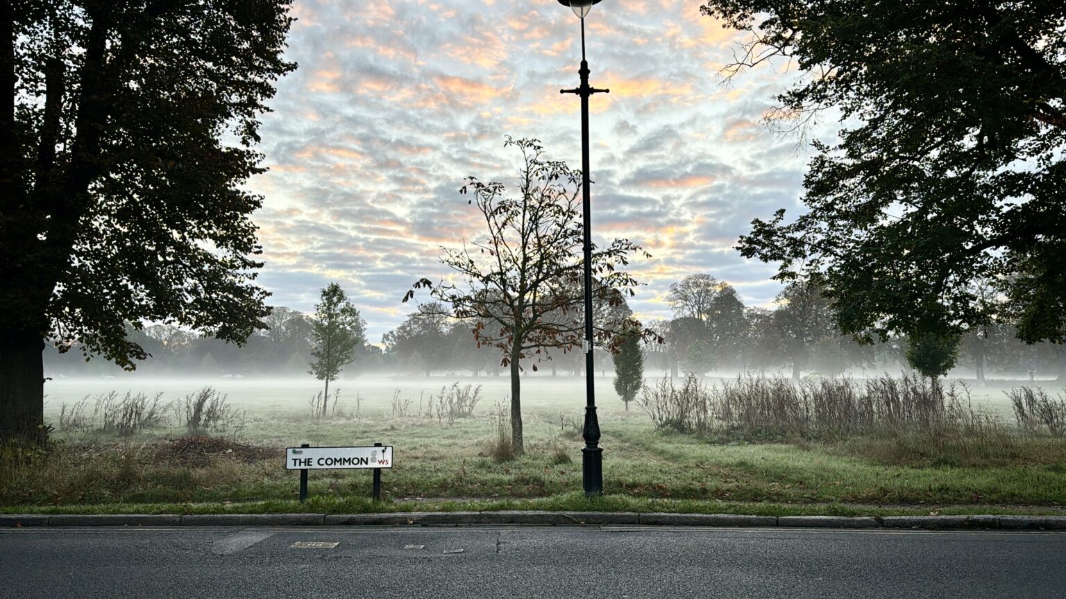 misty day at Ealing Common