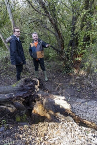 Two men standing under trees and pointing to a fallen tree trunk