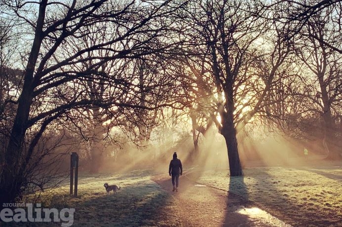 woman and dog walking along path in Pitshanger Park with sun coming through the bare branches on the trees