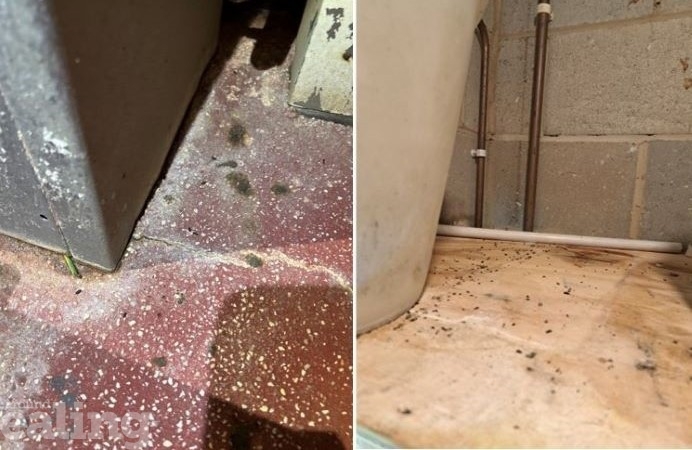 Fine given to Royal Gourmet - images of rodent droppings and mould